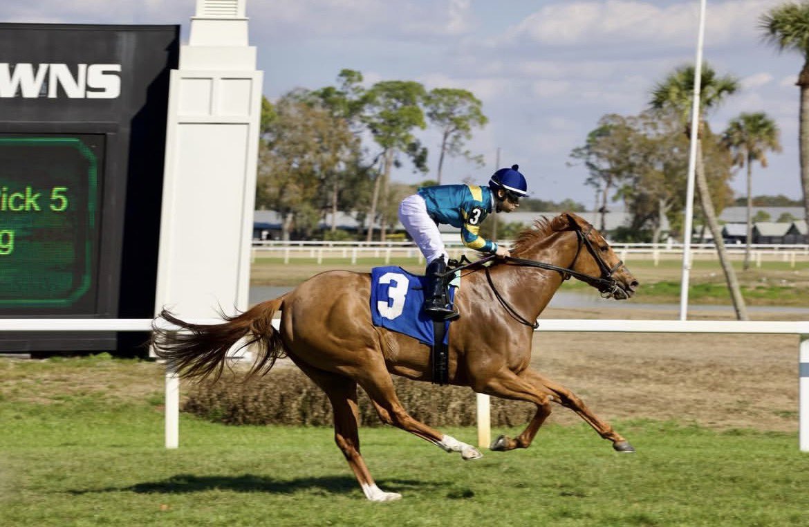 FourStarSales's tweet photo. It was a weekend for the fillies🌺 

@keenelandsales Nov grad BOTTLE OF ROUGE wins the Sunland Park Oaks, earning 20 qualifying points for the G1 KY Oaks
📷 @coadymediaUSA 

@keenelandsales Sept grad CREED’S GOLD wins the Lightning City S
📷 @tampabaydowns

Huge congrats to all! https://t.co/EWFsRSezQl