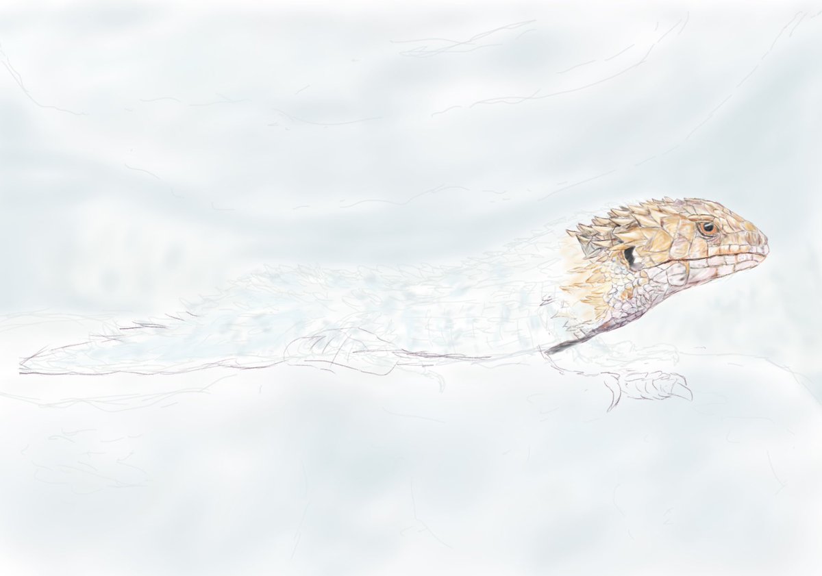 キョハココじゃの
この身体さえまともならもっと進めたものを…まー動く日でもサボる時はサボるんだけど

ログアウトボーナスはペレイデスモルフォ
昔誰かが元ネタの引用で呟いた「あらゆる要素が上振れした時に出た最大限の結果を『実績』として一生擦る」。いい言葉だと思うよ