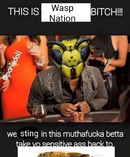 300,000,002 Yellow Jacket Wasps (@arithedumb) on Twitter photo 