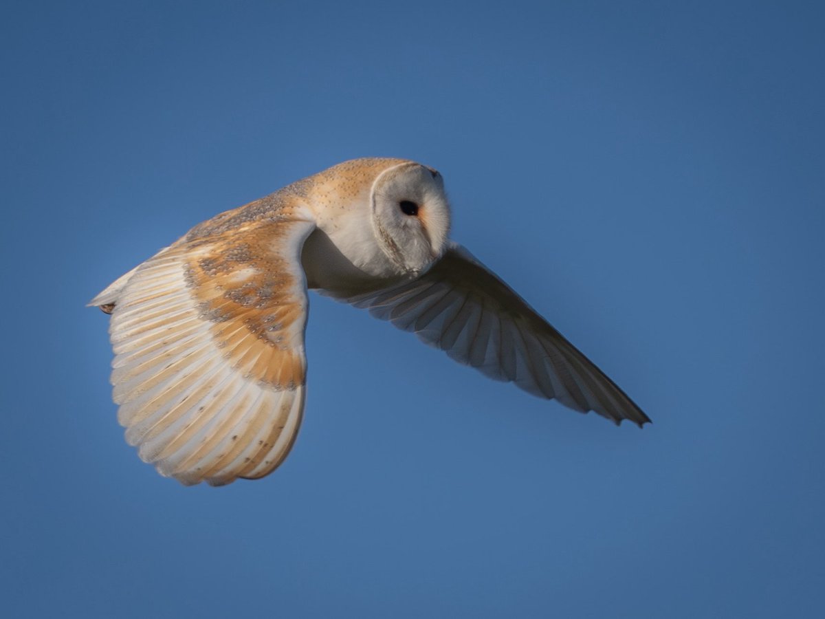 Joanna 📷 tweet media