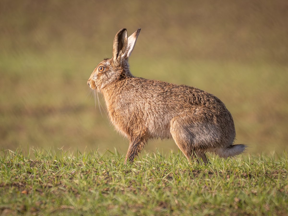 Joanna 📷 tweet media