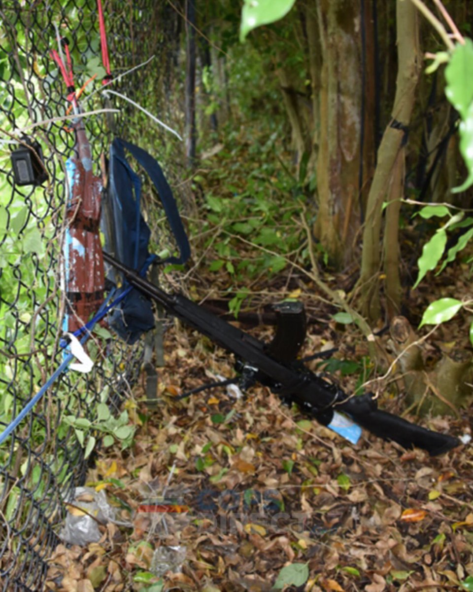 CopsDirect's tweet image. DOJ: Ryan Wesley Routh, 59, sentenced to life + 84 months after conviction for attempted assassination of then-candidate Donald J. Trump and multiple firearms offenses. Sentenced by Judge Aileen M. Cannon in the Southern District of Florida. #news #ruleoflaw