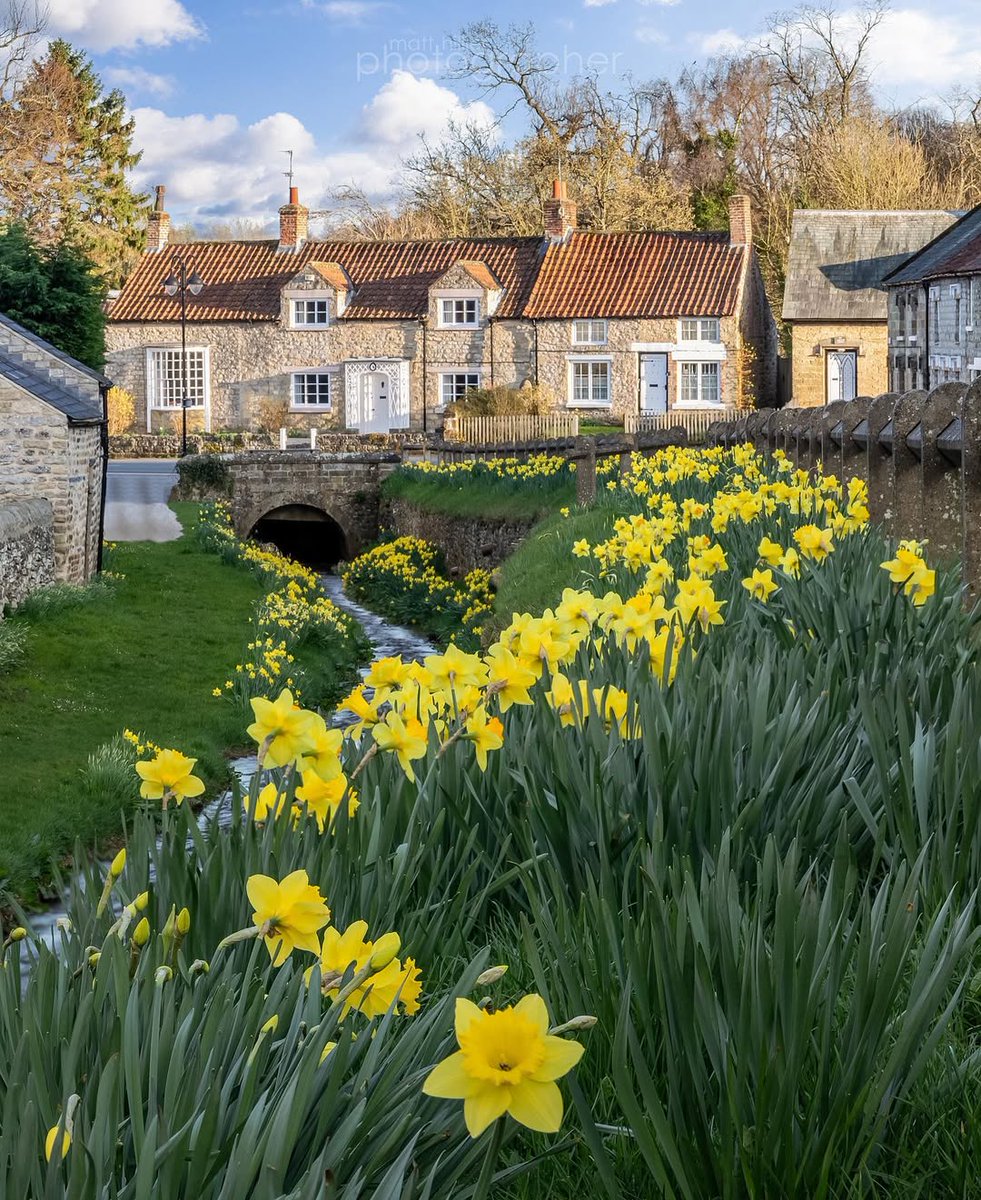 Not long now....🌼