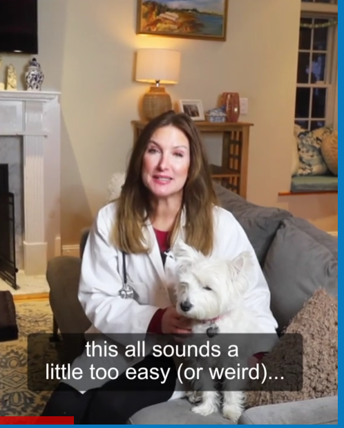 Milan Drecun tweet media