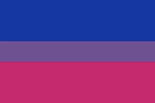 <a href="/oleanderings/">rie ☆彡</a> Bi flag, bi war flag