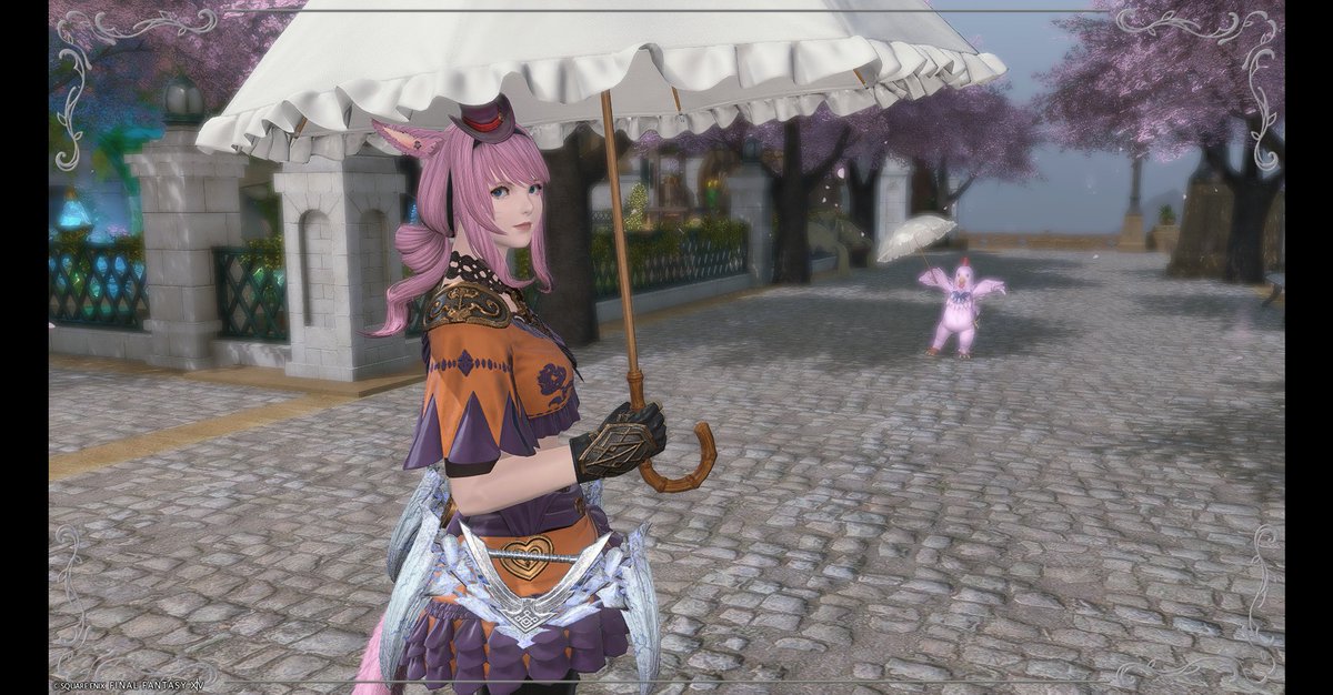 青天市 で #きまぐれねこのおみせ で購入させてもらった傘をとりちゃん