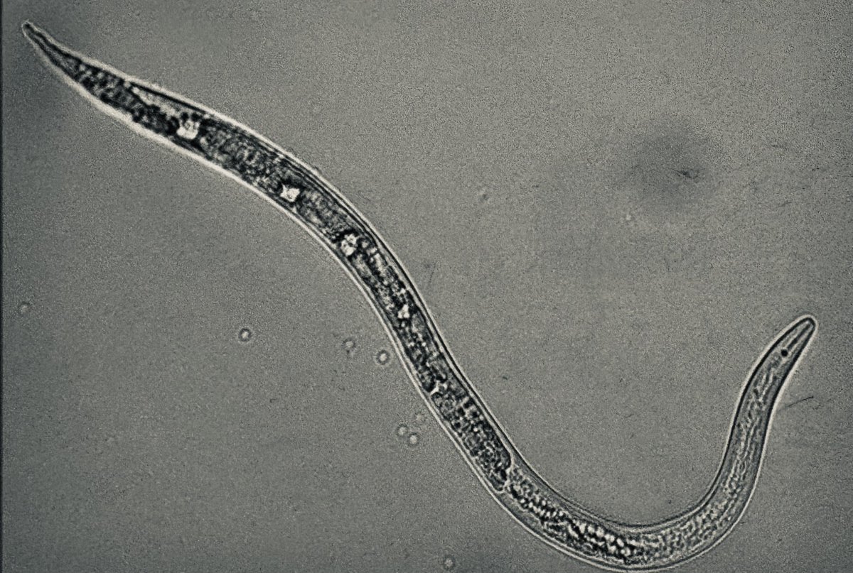 Ed Sikora tweet media