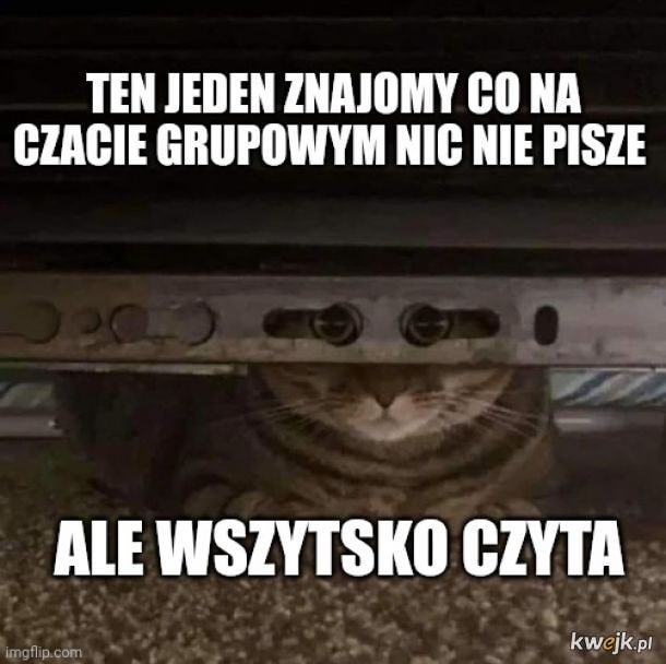 ushateq🐻⛓️ (@mariusz78796318) on Twitter photo 