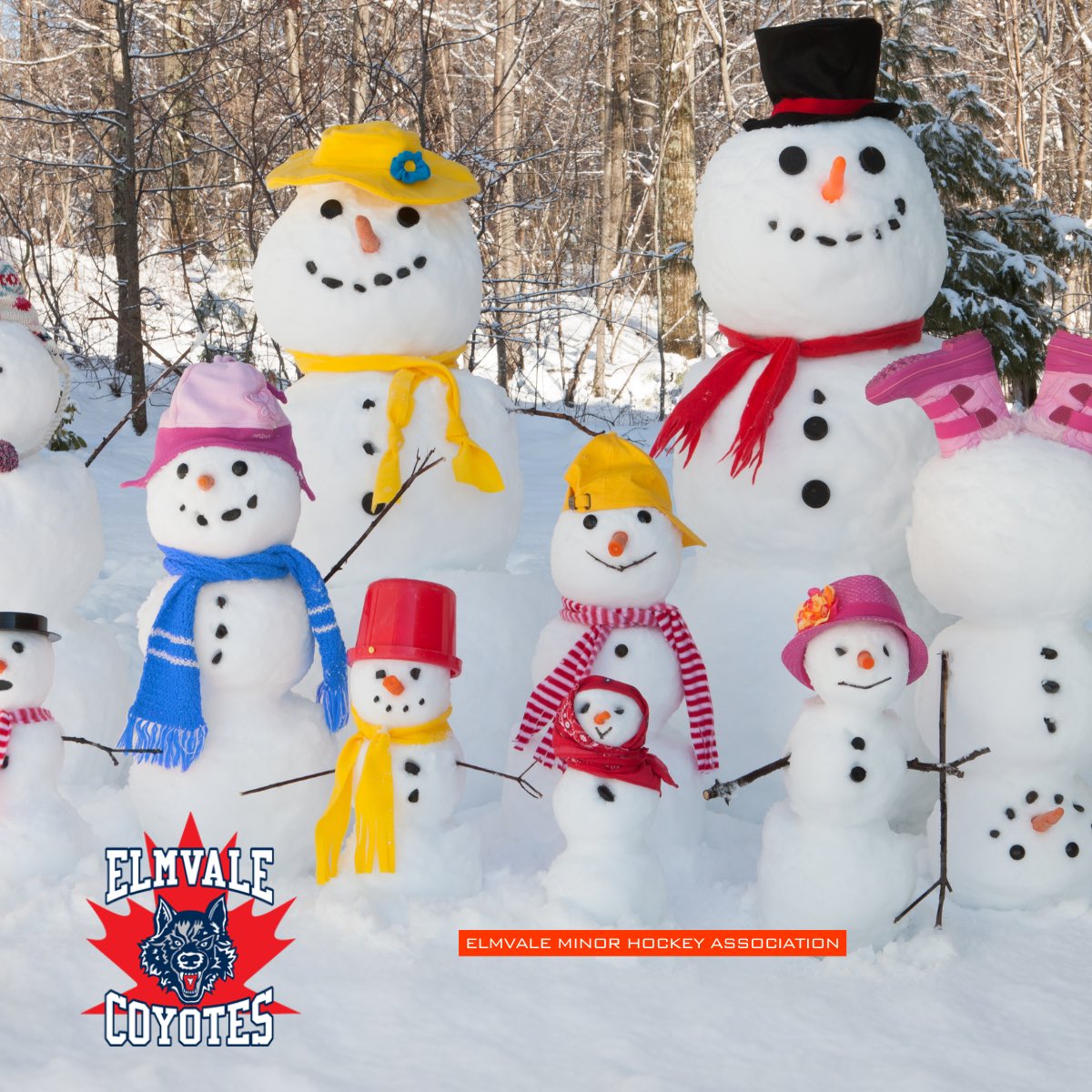 Elmvale Minor Hockey tweet media