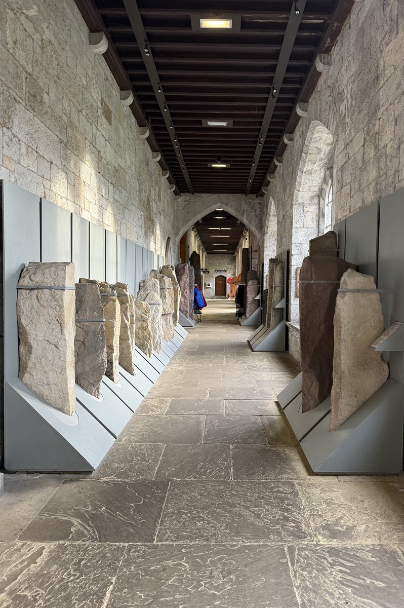 Daniel MacLean tweet media