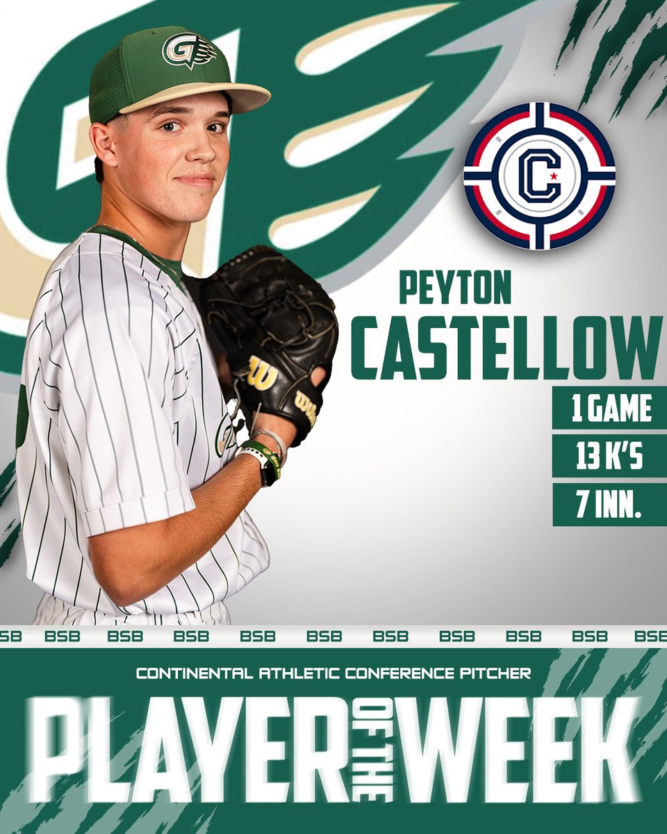 GGC Baseball tweet media