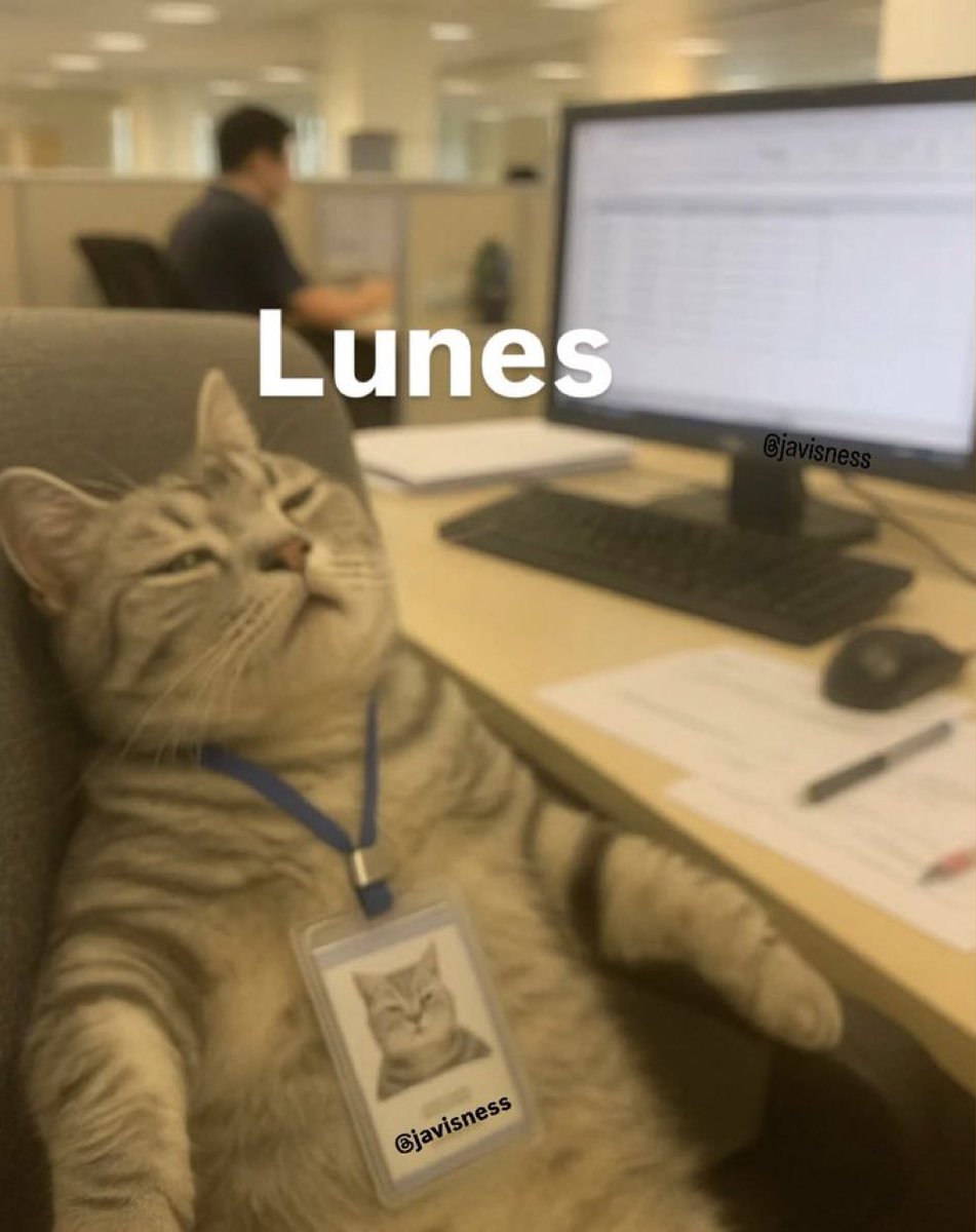 Salvador Iglesias Jr (@javisness) on Twitter photo 