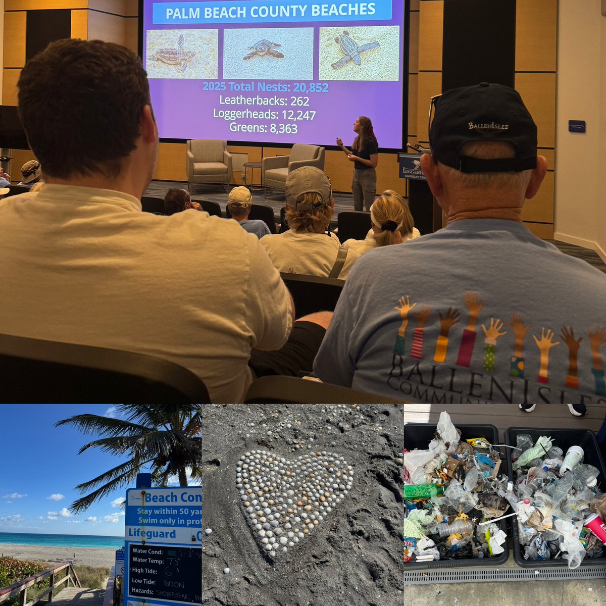 Proud to participate in the @ballenislescharities foundation "Love Our Beach" cleanup this weekend at @loggerheadmarinelife center. Learned some fascinating facts and helped clear the nesting zone so the little hatchlings have their best chance!