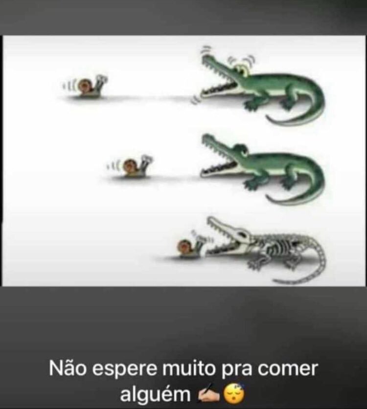 memes totalmente aleatorios que achei (@otakuvariante) on Twitter photo 