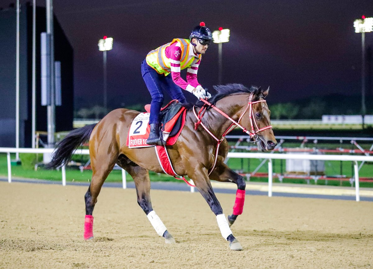Dubai Racing Club tweet media