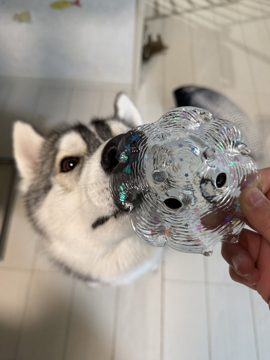 Genie(ジーニー) (@Genie_0213) / Posts / X