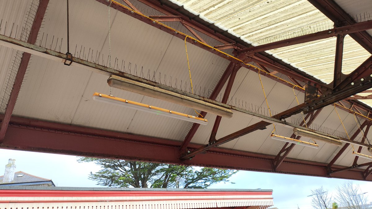 James Croft tweet media