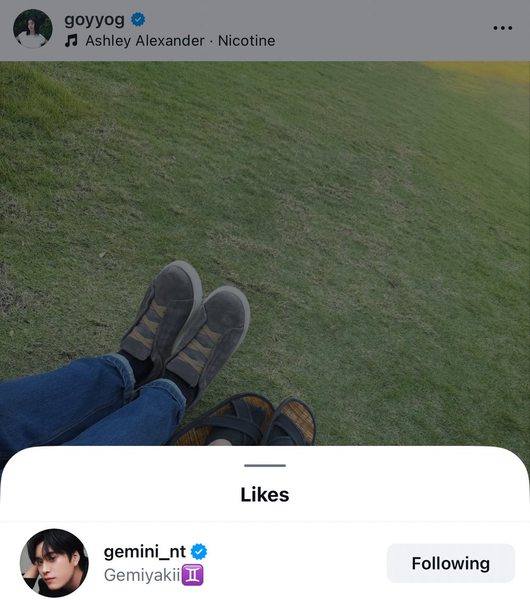 meowmiyakii's tweet image. คนไทยแท้หนิ