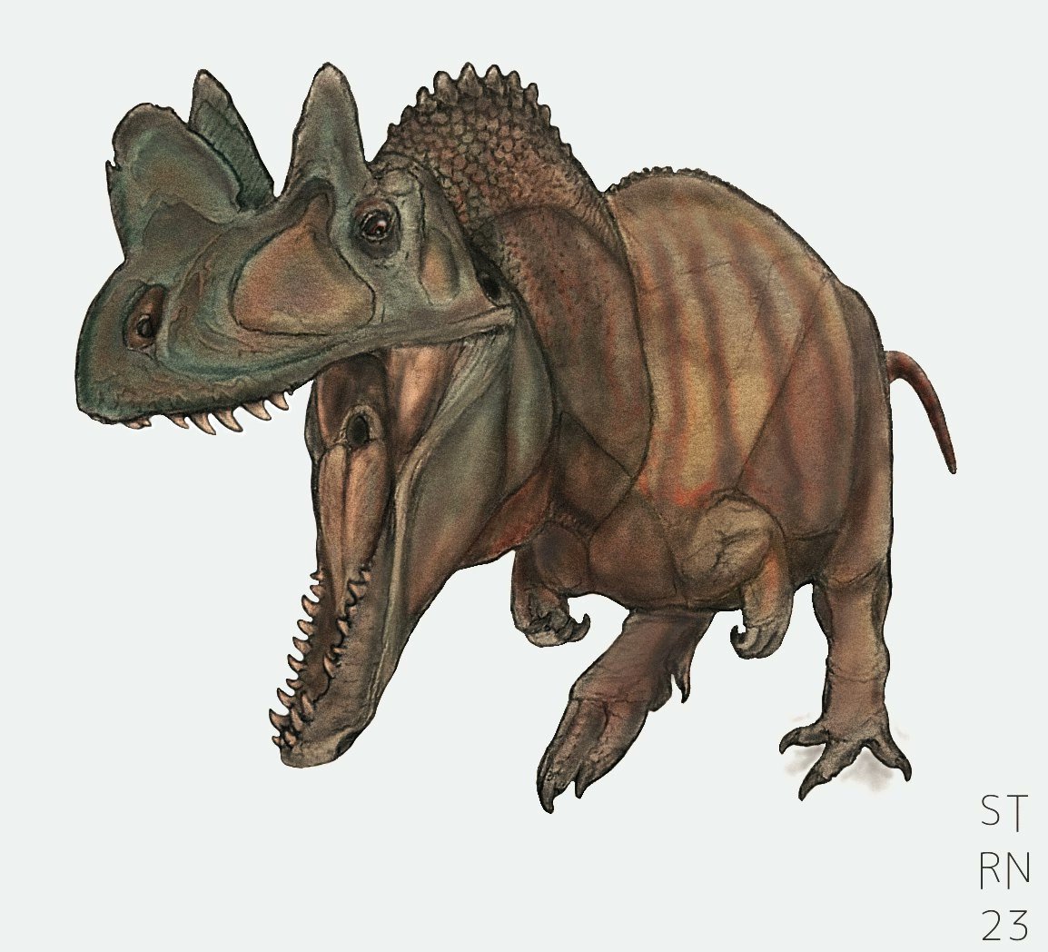 🦖 Dino Kia 🦖; 🏳️🌈 tweet media