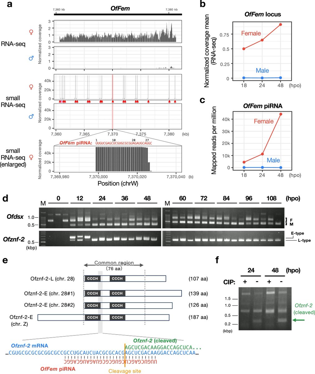 Nature Japan tweet media