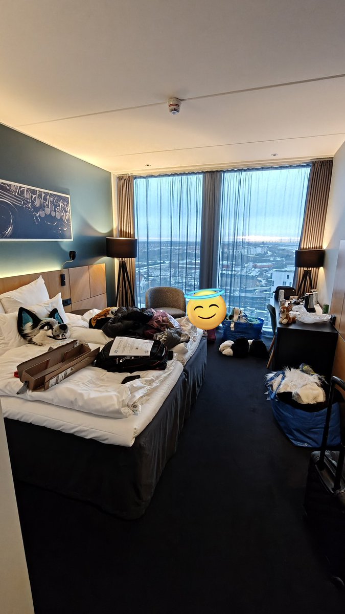 Ziggy Spidox ^,,^ tweet media