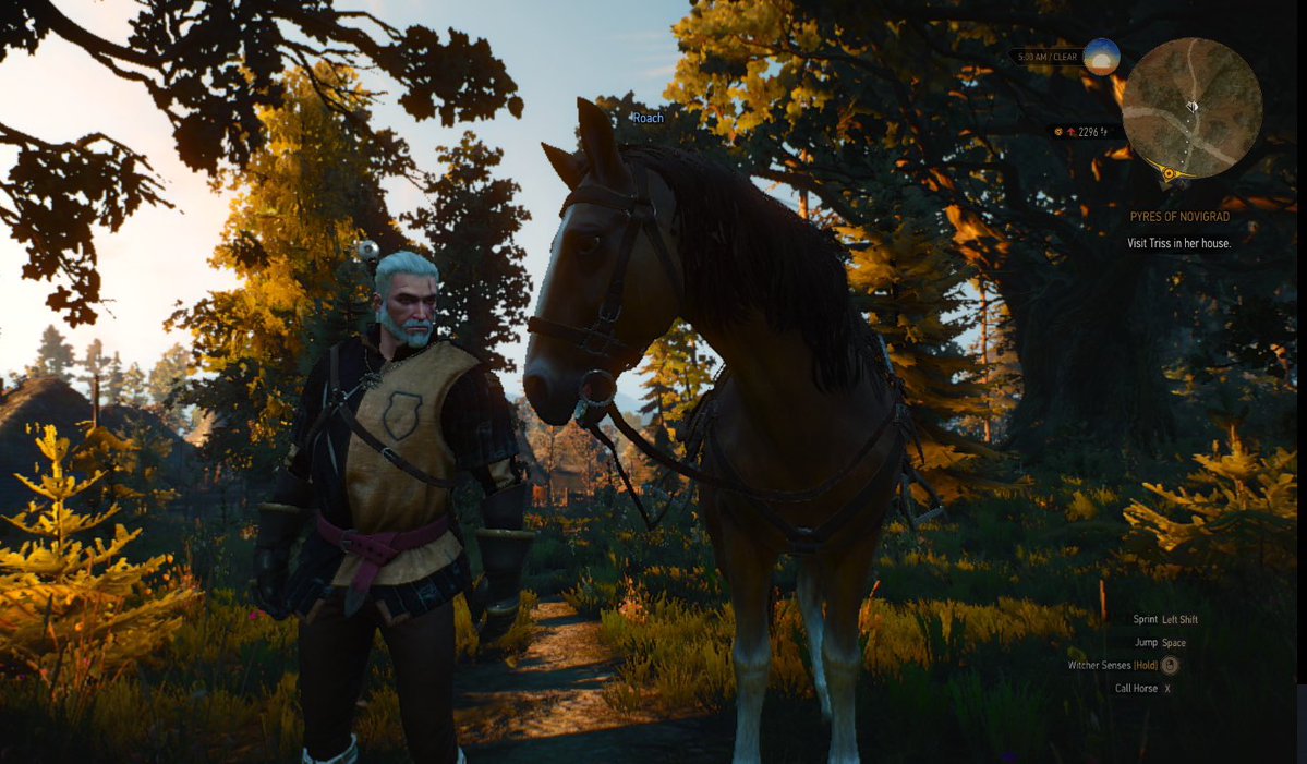 Happy year of the horse