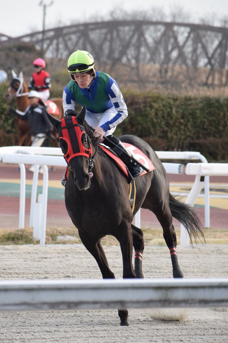 紅葉☘ (@zc32s_7043) / Posts / X