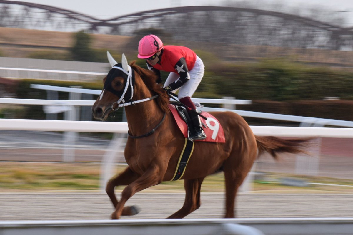 紅葉☘ (@zc32s_7043) / Posts / X