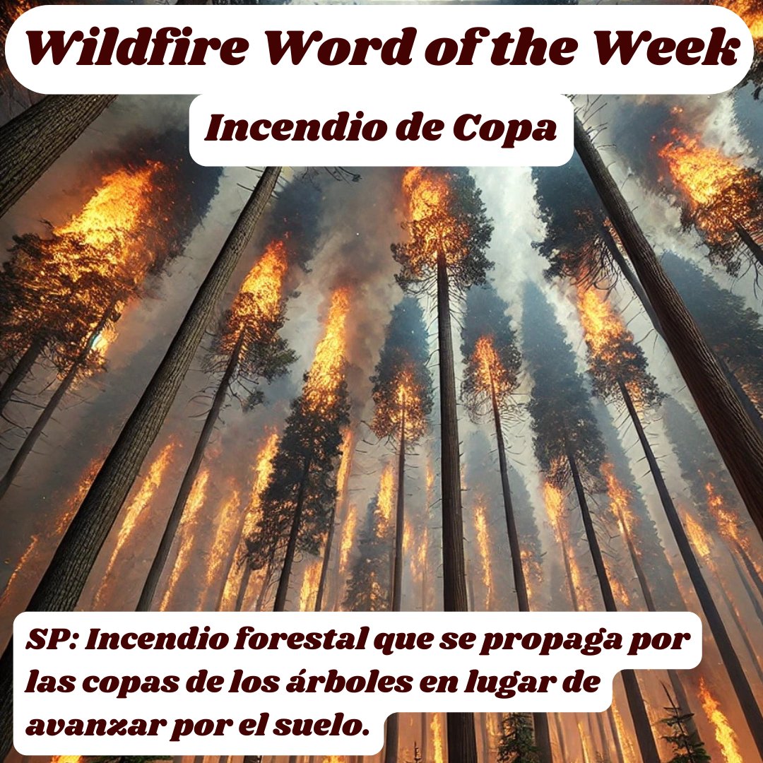 WUI Communities tweet media