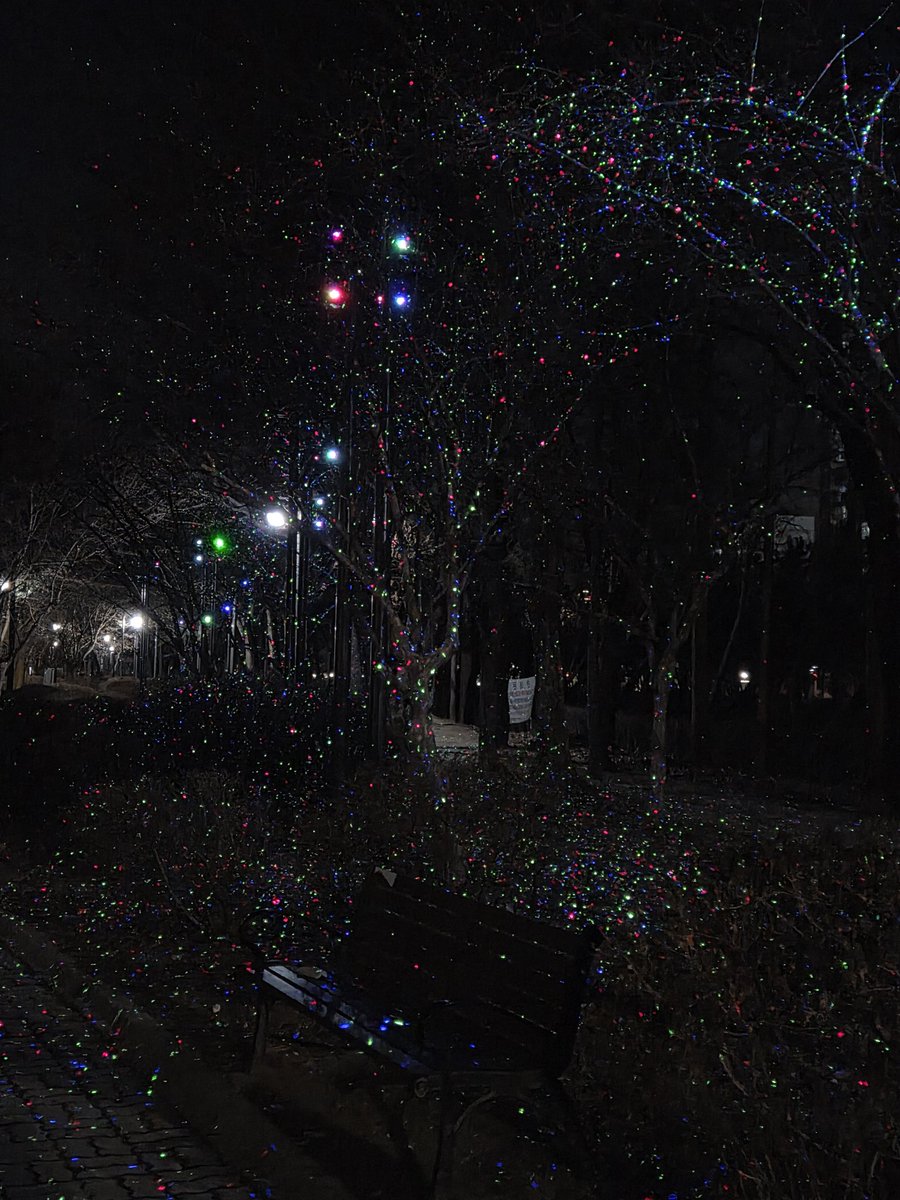 보여주기 tweet media