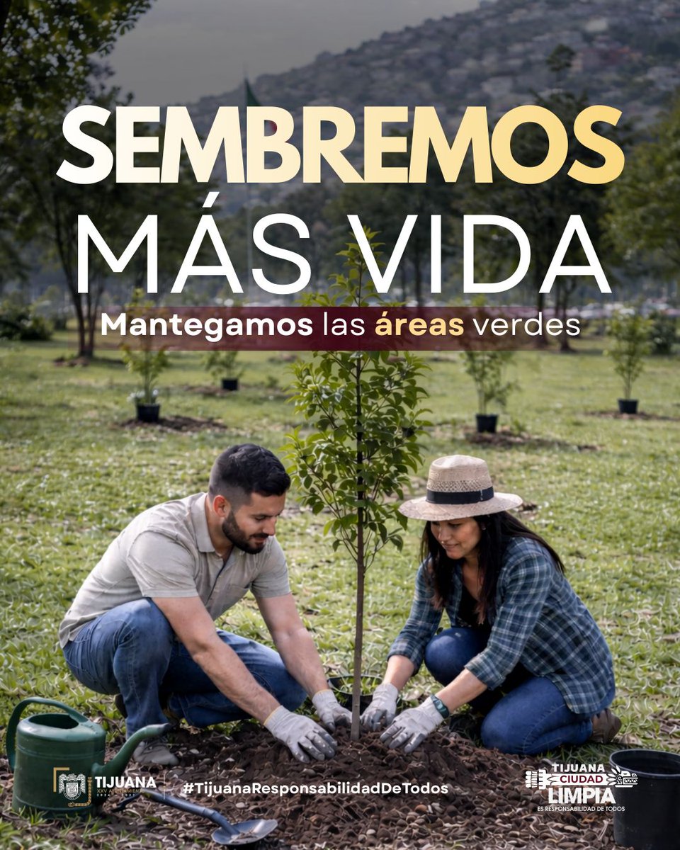 Los parques con árboles reciben más visitas, mejoran la convivencia y fortalecen el tejido social.
Reforestar es invertir en espacios vivos para las familias de Tijuana.
#TijuanaResponsabilidadDeTodos