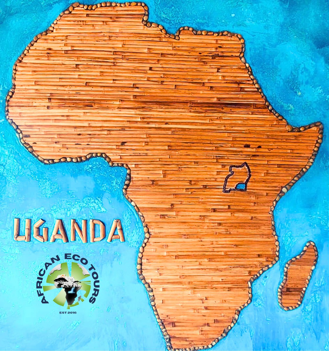 African Eco Tours tweet media