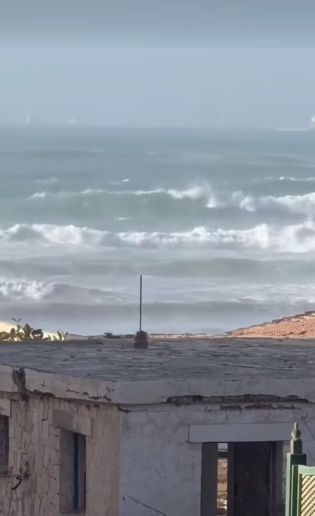 البيطاش ❤️