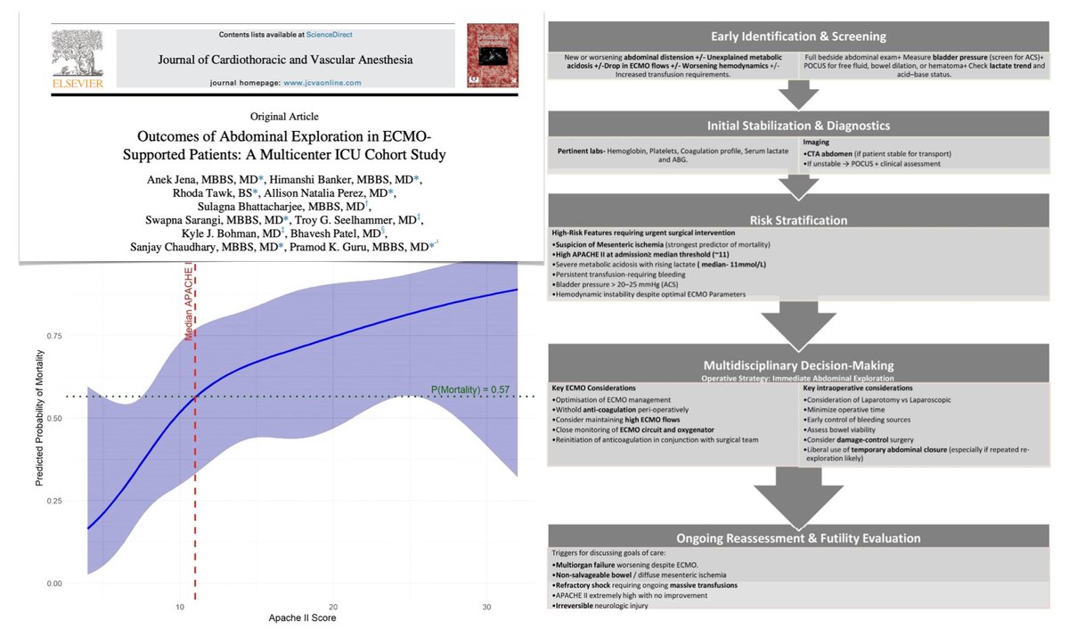 M Velia Antonini tweet media