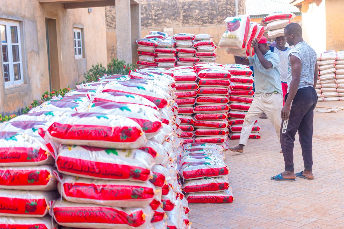 Ibrahim Bello Mohammed tweet media