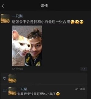 Abuser Database tweet media