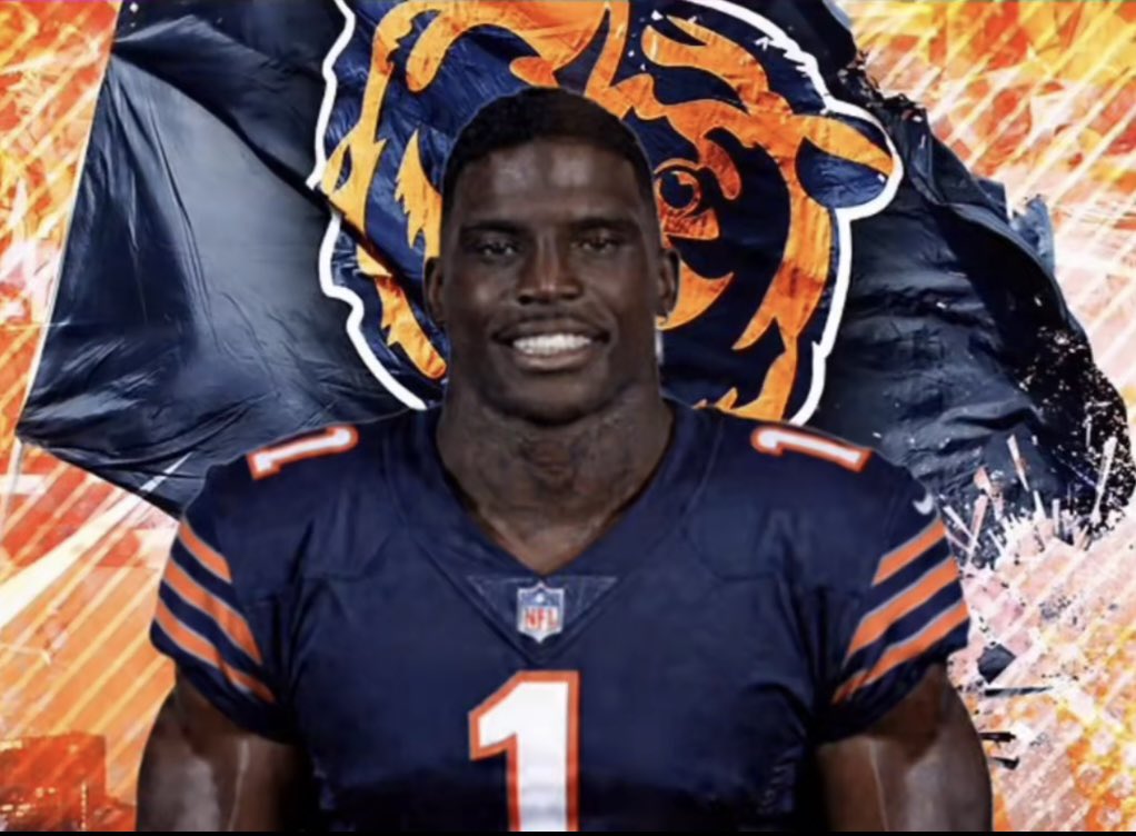 BearsMuse tweet media