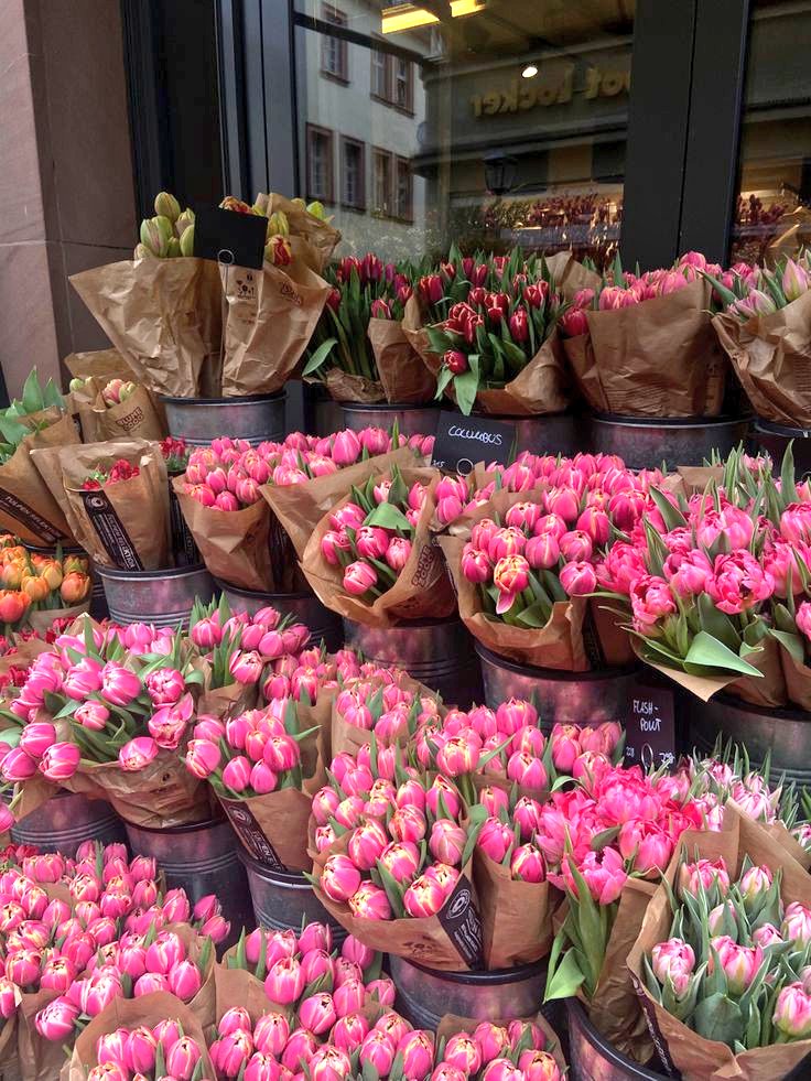 nothingmoment_'s tweet image. 