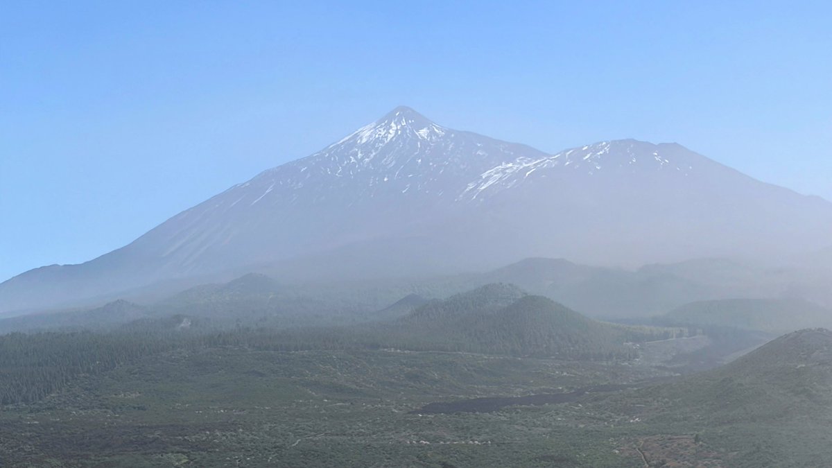 Gerard Sheehy tweet media