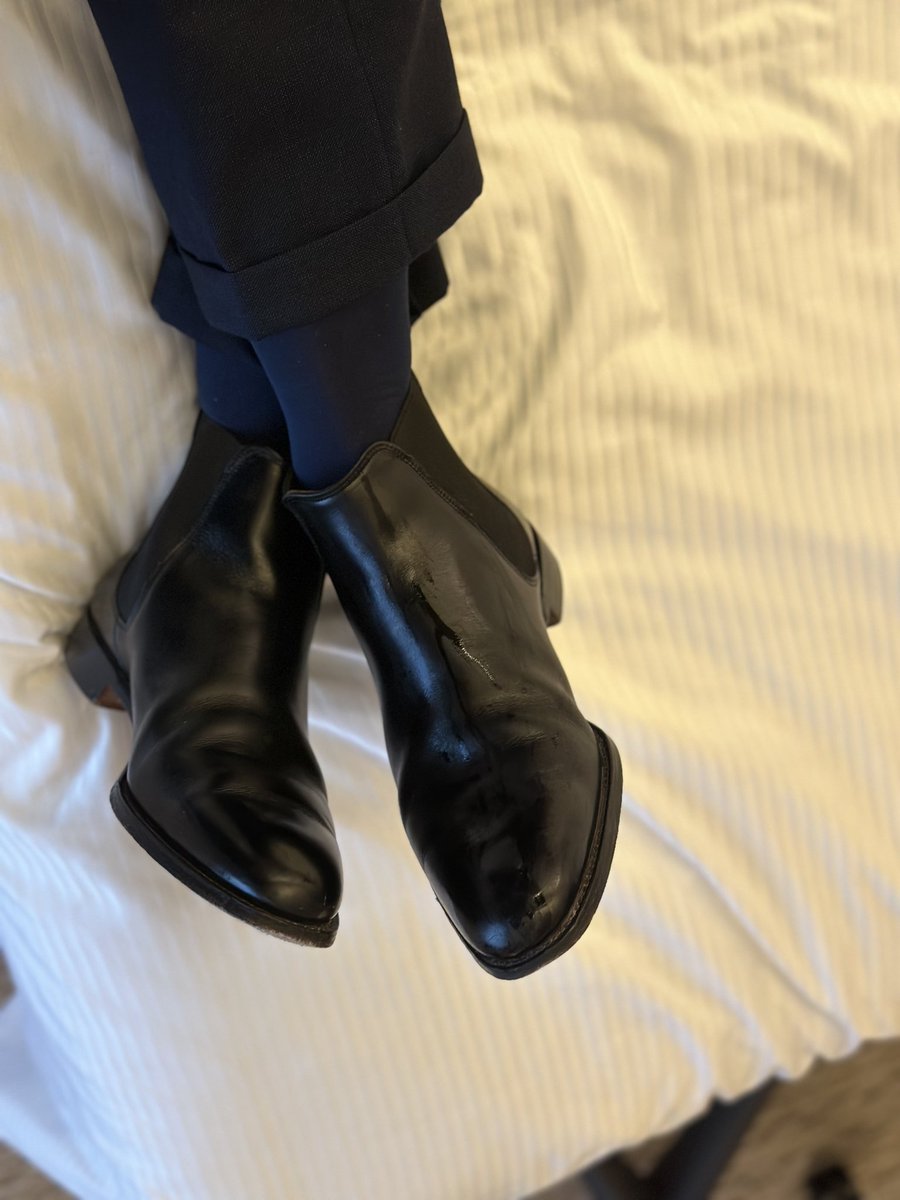 GzAlexFan tweet media