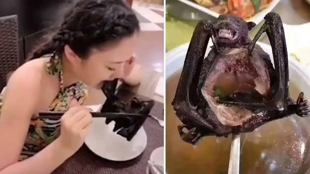 Ianfield tweet media