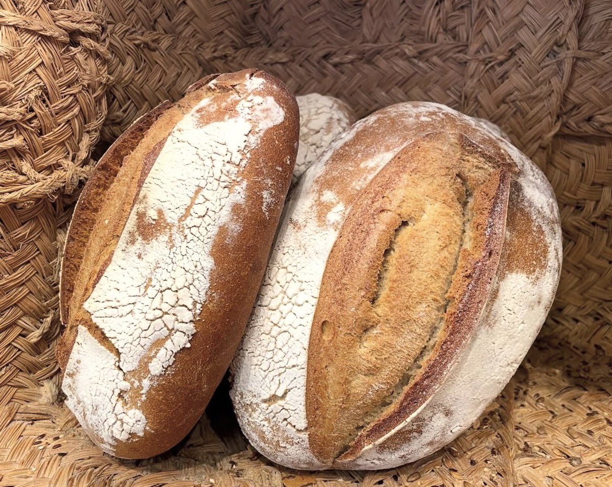 LUNES DE BUEN PAN ✔️
Aunque ya tengáis elegido vuestro pan favorito de El Colmenero de Alhaurín te animamos a descubrir otros. Por ejemplo: el pan del zaguán, con masa madre de 24 horas de elaboración y una corteza muy especial 📸

elcolmenero.com