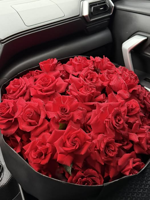 tanderso14's tweet photo. Năm qua của mình không ồn ào, cũng chẳng có gì rực rỡ. Chỉ là một năm học cách đứng vững sau những lần chông chênh, vấp ngã..🎁 https://t.co/p6ScCi21WO