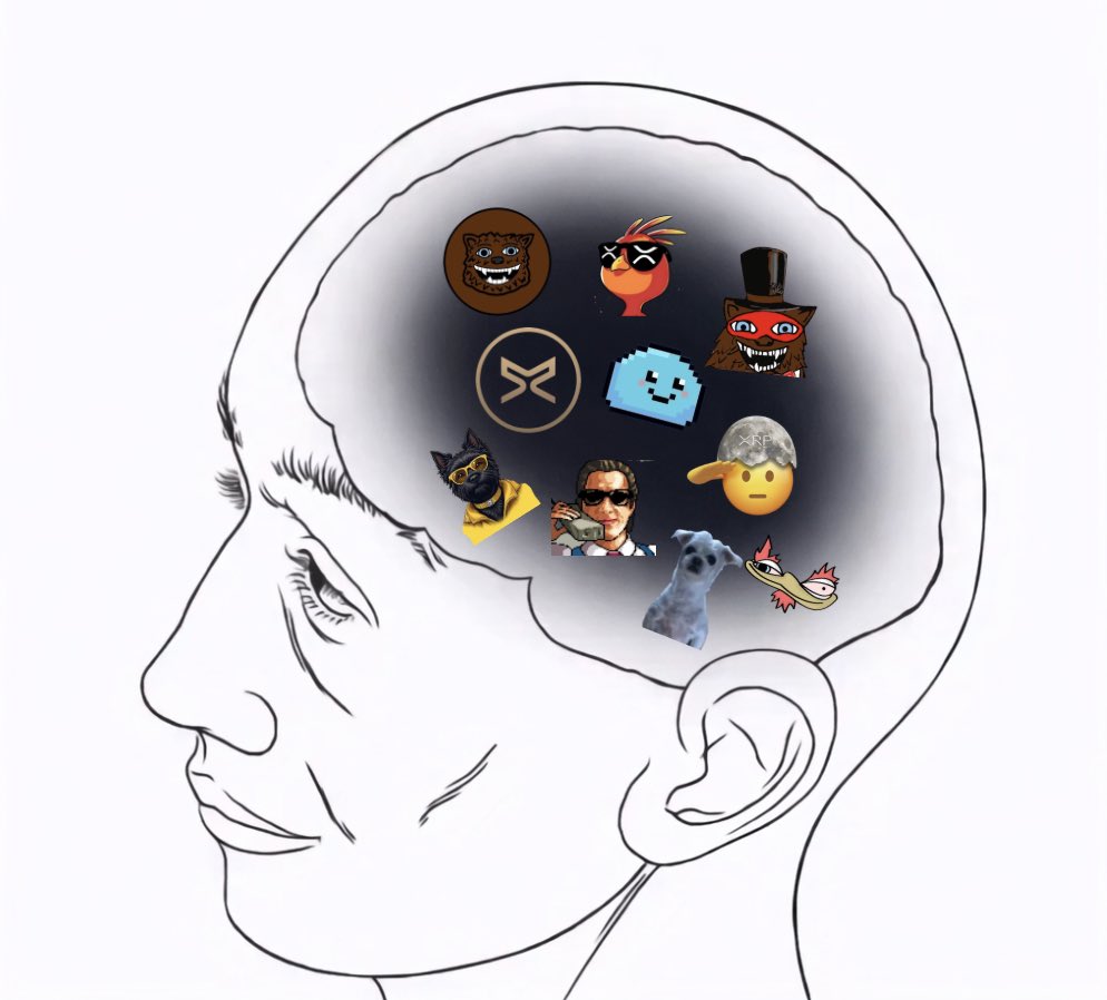 xpmarket.com tweet media