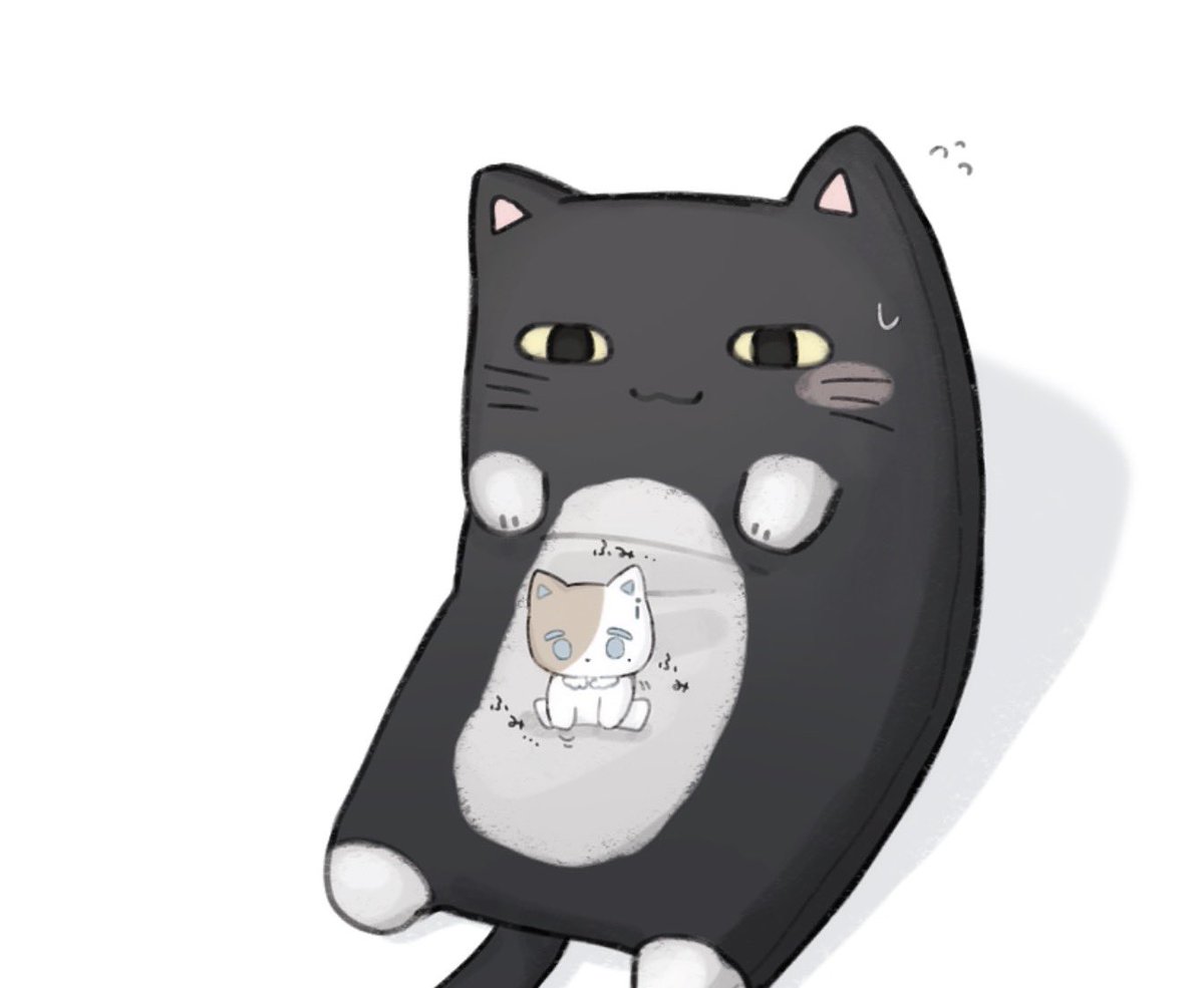 ふみふみ🐈‍⬛