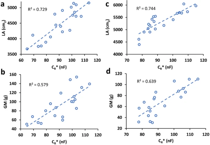 Sergio Toletti tweet media
