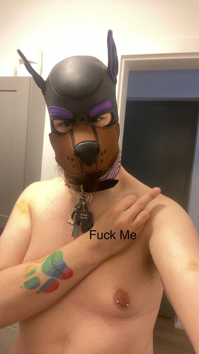 Flap-Flap🧩😵‍💫💖🇩🇪🏳️‍🌈 tweet media