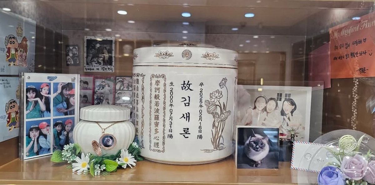 anniversary angel Kim saeron number one girl rose blackpink kpop Kdrama #kpop #saeron #kdrama #short
youtube.com/shorts/ERo3Smf…

tiktok.com/t/ZP89KMg35/

tiktok.com/t/ZP89KS4XA/