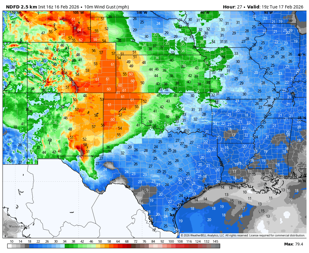 Brian Bledsoe 🐊 tweet media