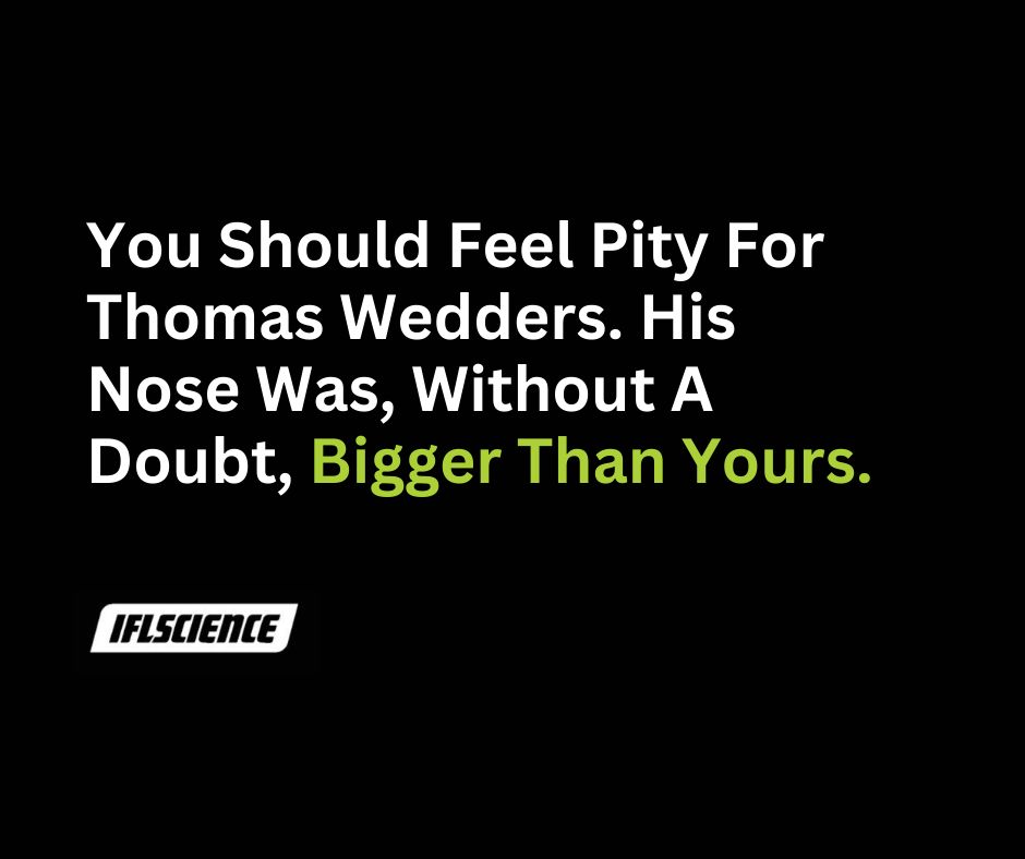 IFLScience tweet media